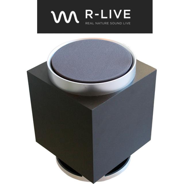 R-LIVE -REAL NATURE SOUND LIVE 空間音響システム